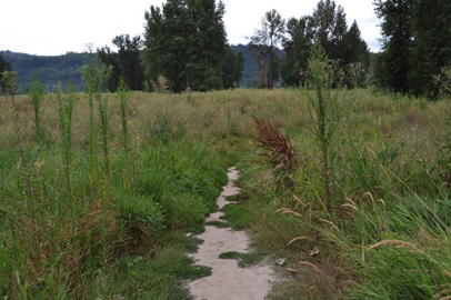 Boundary Trail may have high grass that narrows the trail width